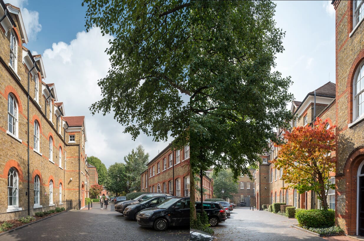 TDS-Web-50BG-Image-01