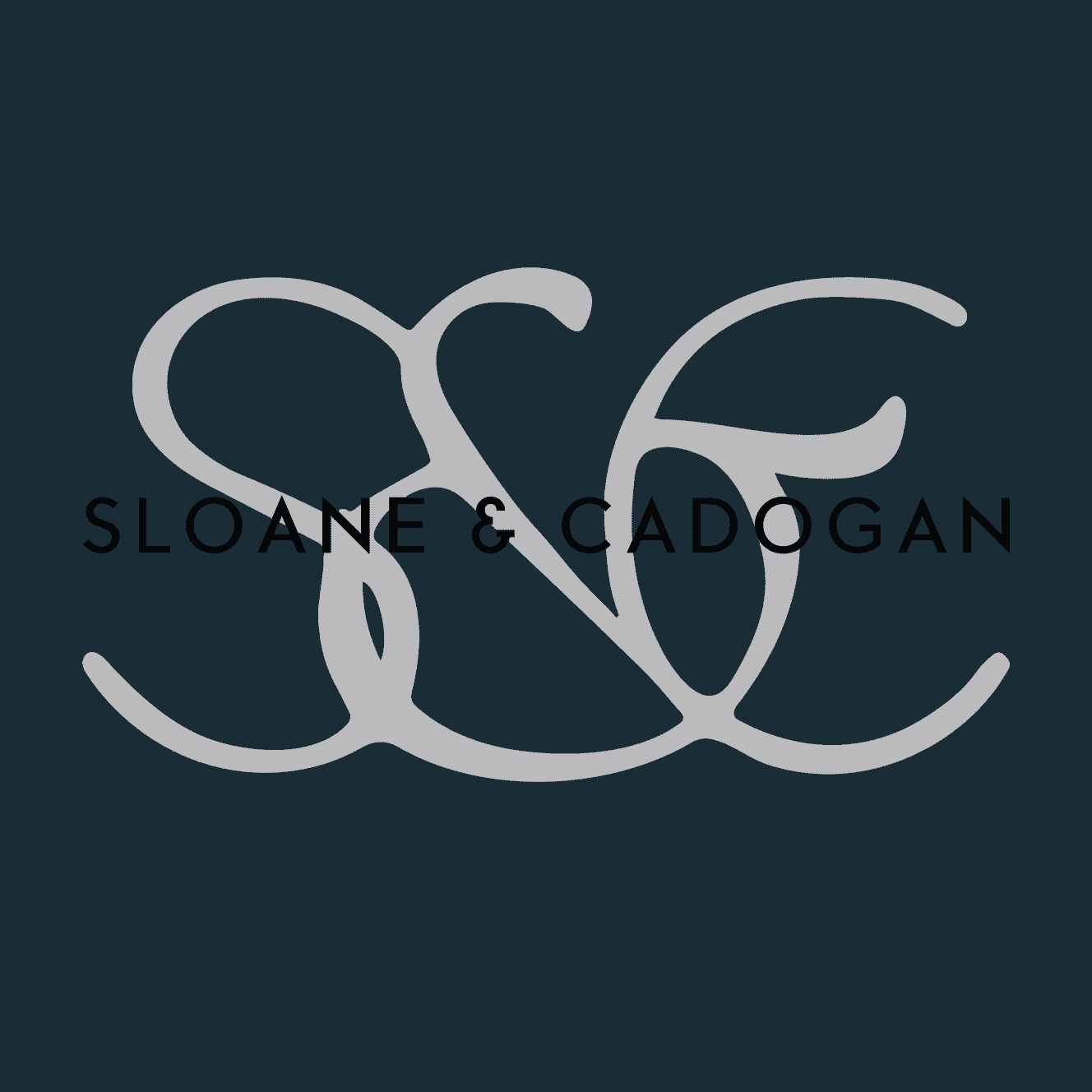 TDS-Web-SC-Logo.png?w=1024&h=1024&scale